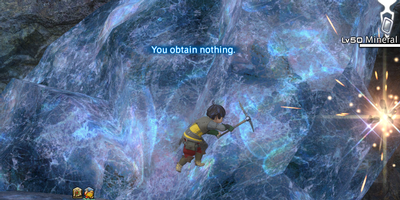 gathering adventure!